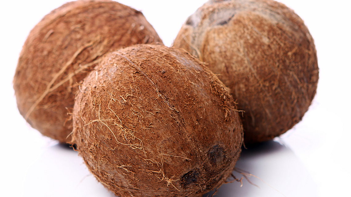 Cocopeat Oil Absorbent