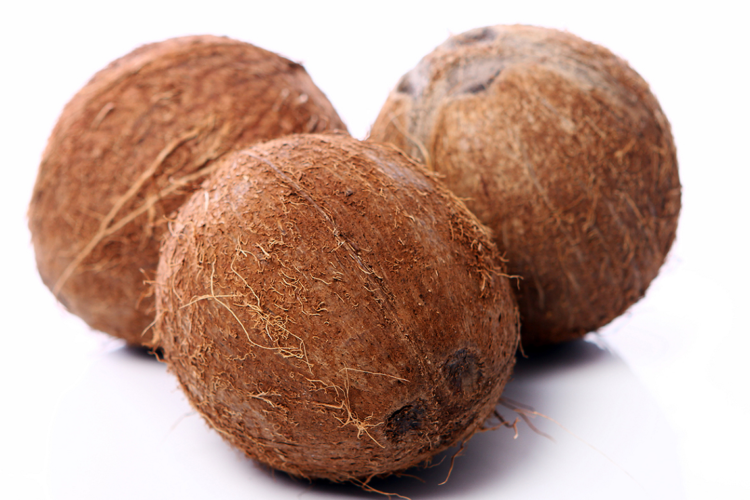 Cocopeat Oil Absorbent