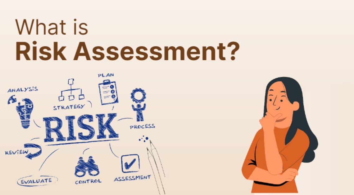 Shasa Group Risk Assessment